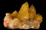 Sunshine Cactus Quartz Crystal - South Africa #98383-3